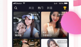 91直播的,揭秘热门直播平台的魅力与挑战