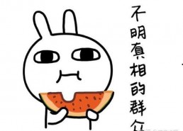 娱乐吃瓜合成一个词怎么说,一词合成，揭秘娱乐圈幕后故事