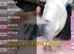 91直播台湾,揭秘台湾网络直播产业的崛起与现状