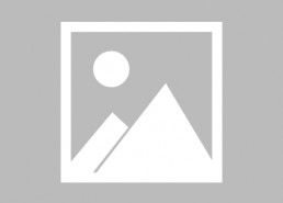 娱乐圈吃瓜的真实感悟,幕后真相与吃瓜者的双重人生