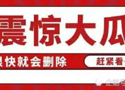 关于吃瓜娱乐八卦的网名,揭秘娱乐圈幕后风云