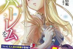 日本少女漫画三国,三国梦之旅