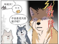 狼人受漫画,漫画中的神秘之夜